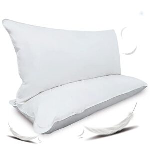 La Mejor Recopilacion De Almohadas Pluma Ganso Para Comprar Hoy