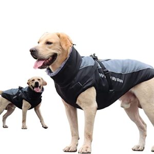 Lista De Ropa Perros Los 5 Mejores
