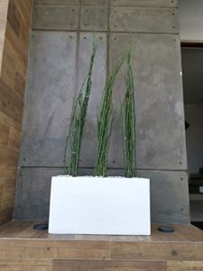 La Mejor Lista De Maceta Fibra Vidrio Para Comprar Hoy