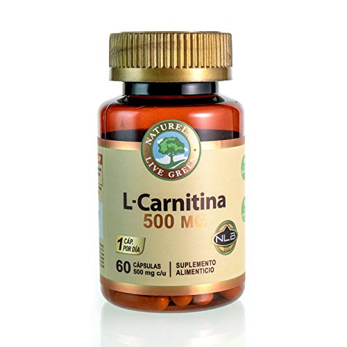 l carnitine pcos dosage Benefits of L-Carnitine for PCOS: Improve Insulin Resistance & Weight Loss