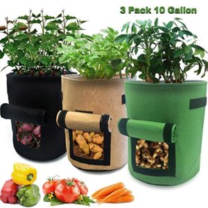 La Mejor Seleccion De Jardin Los 5 Mejores