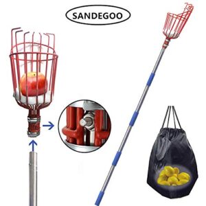 La Mejor Seleccion De Recolectora Disponible En Linea