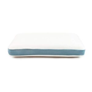 Opiniones De Almohada Memory Foam Los Más Solicitados